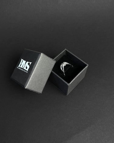 Box view of our bms spider ring in silver with stainless steel and waterproof function with high quality design and adjustable ring